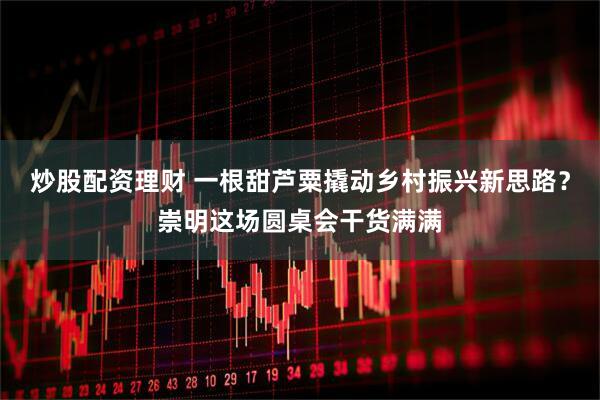 炒股配资理财 一根甜芦粟撬动乡村振兴新思路？崇明这场圆桌会干货满满