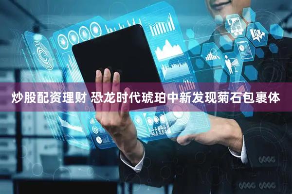 炒股配资理财 恐龙时代琥珀中新发现菊石包裹体