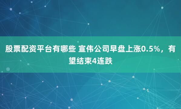 股票配资平台有哪些 宣伟公司早盘上涨0.5%，有望结束4连跌