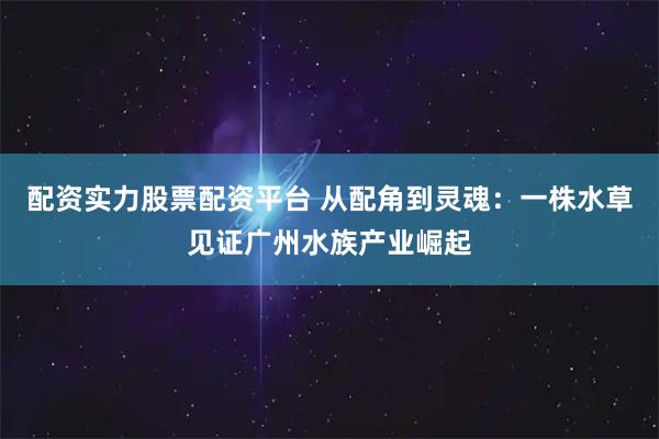配资实力股票配资平台 从配角到灵魂：一株水草见证广州水族产业崛起